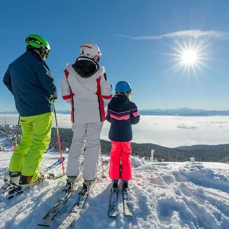Studio Chaleureux Au Depart Des Sentiers Et Pistes De Ski Lajoux 외부 사진
