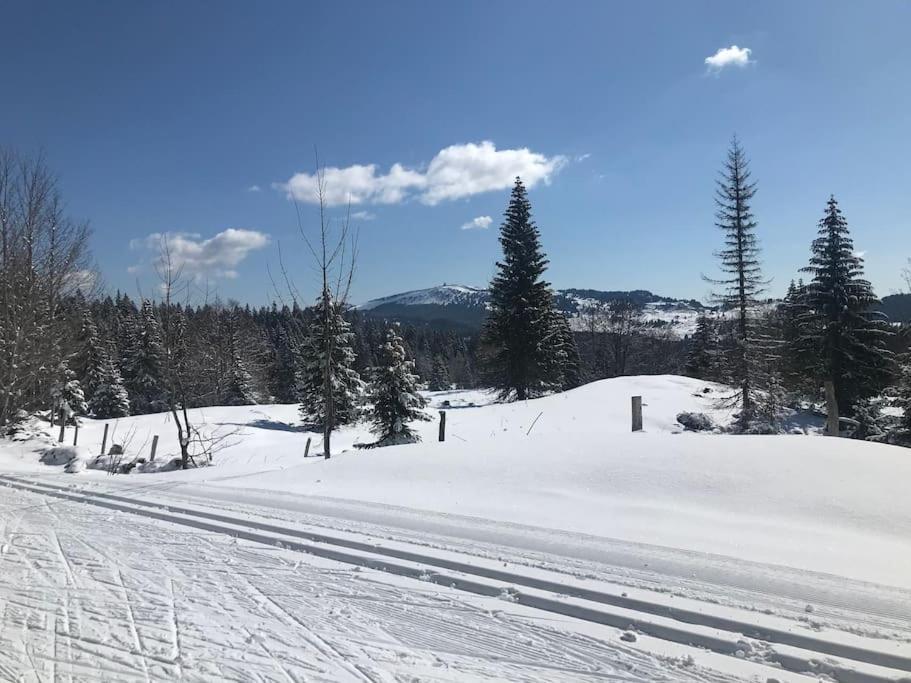 Studio Chaleureux Au Depart Des Sentiers Et Pistes De Ski Lajoux 외부 사진