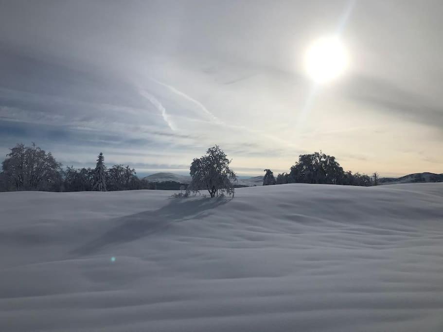 Studio Chaleureux Au Depart Des Sentiers Et Pistes De Ski Lajoux 외부 사진