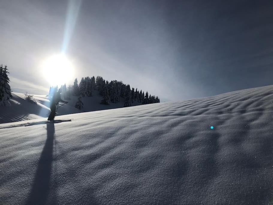 Studio Chaleureux Au Depart Des Sentiers Et Pistes De Ski Lajoux 외부 사진