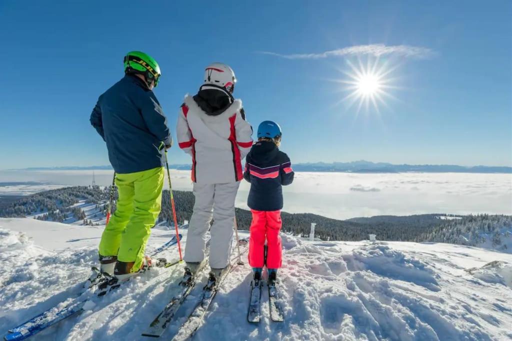 Studio Chaleureux Au Depart Des Sentiers Et Pistes De Ski Lajoux 외부 사진