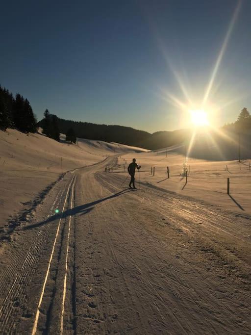 Studio Chaleureux Au Depart Des Sentiers Et Pistes De Ski Lajoux 외부 사진