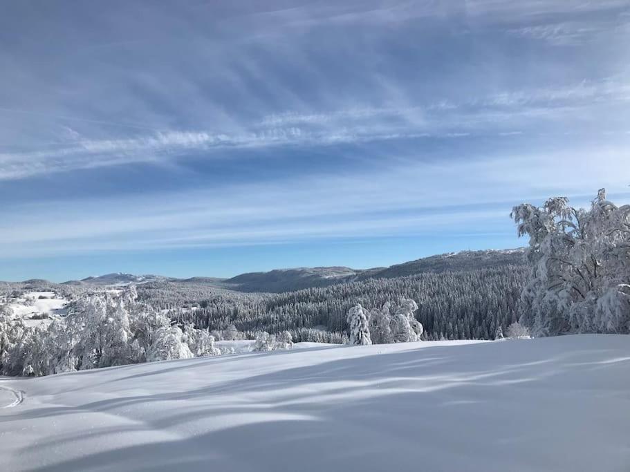 Studio Chaleureux Au Depart Des Sentiers Et Pistes De Ski Lajoux 외부 사진