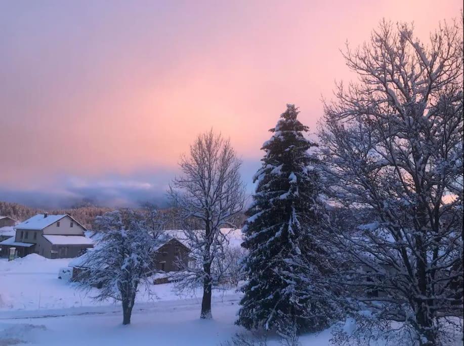 Studio Chaleureux Au Depart Des Sentiers Et Pistes De Ski Lajoux 외부 사진