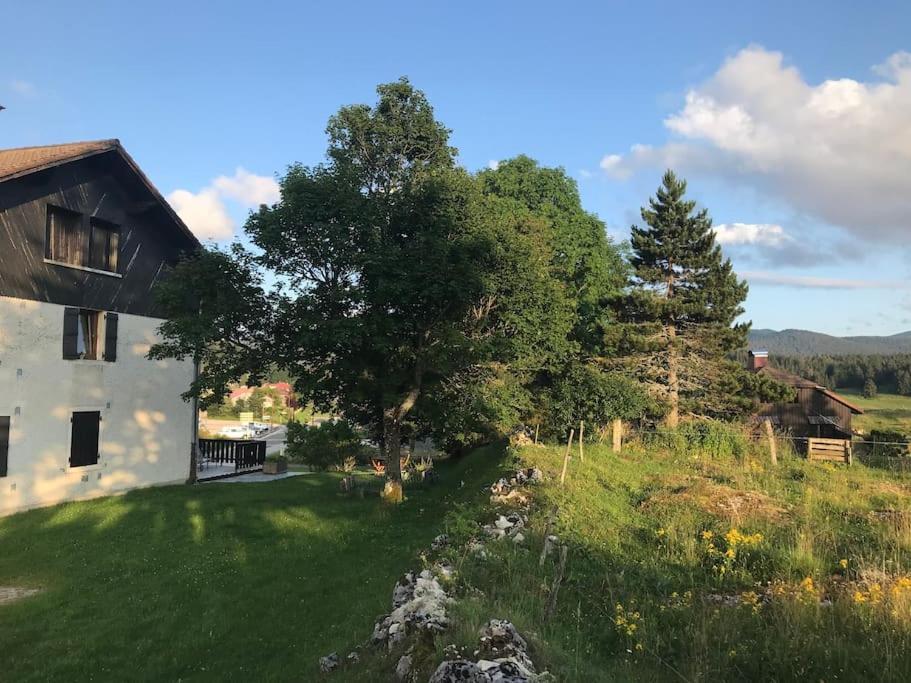 Studio Chaleureux Au Depart Des Sentiers Et Pistes De Ski Lajoux 외부 사진